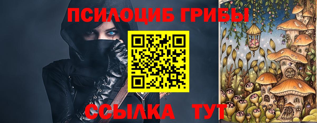 Псилоцибиновые грибы Cubensis Тула