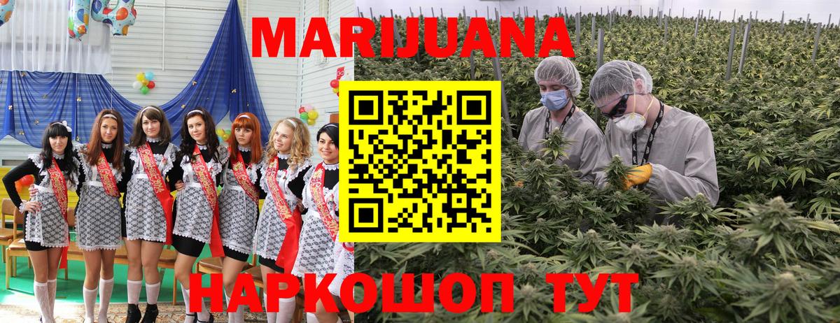 Шишки марихуана Bruce Banner  МАРИХУАНА планчик  Вход с VPN  Каннабис марихуана  Тула 